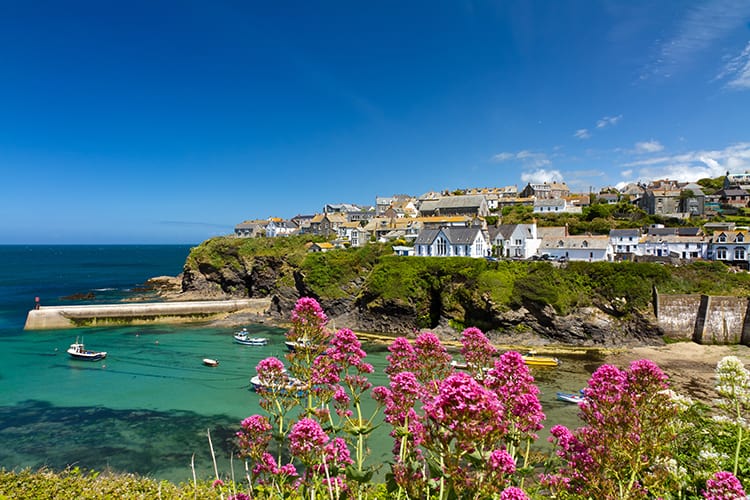 5 Nice Household-Pleasant Actions to Get pleasure from in Cornwall, UK!