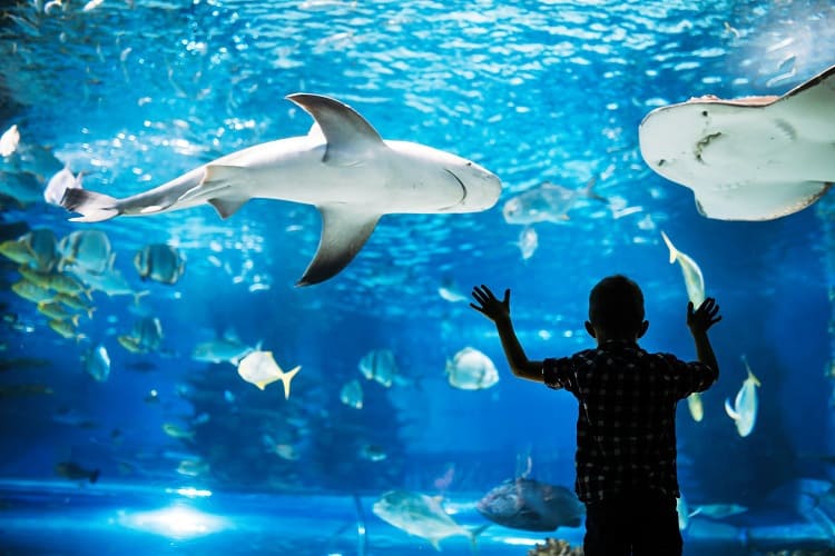 5 Shocking U.S. Cities to Go to with Children!