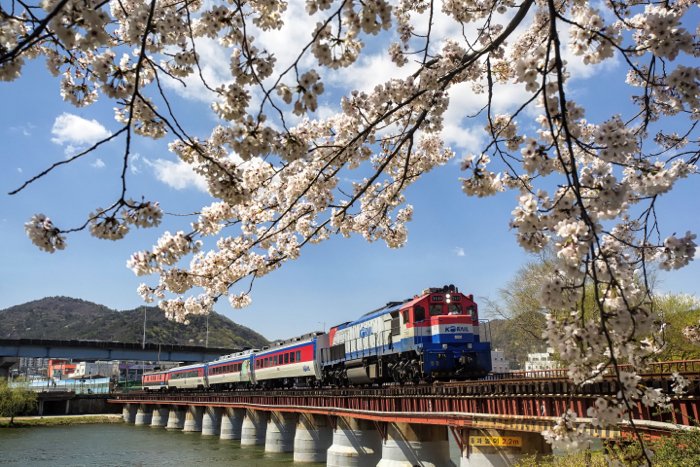 How to Take Excellent Train Photography
