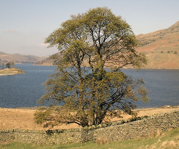 Haweswater