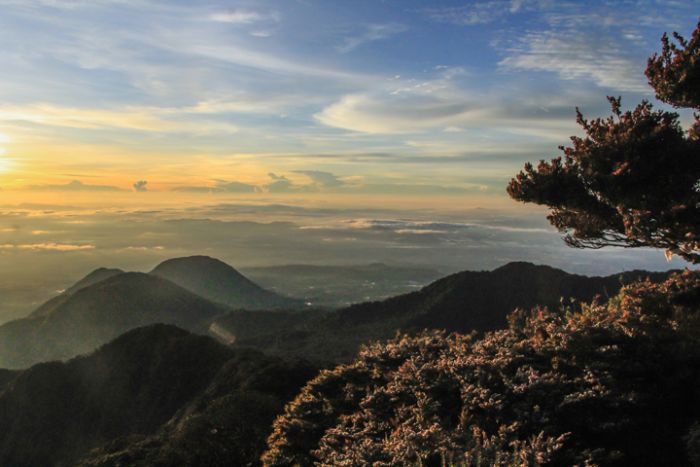 Mount Kitanglad