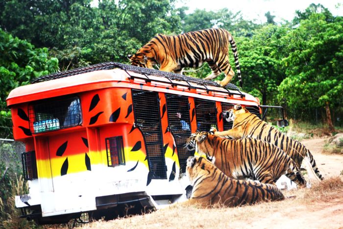 15 Best SUBIC TOURIST SPOTS
