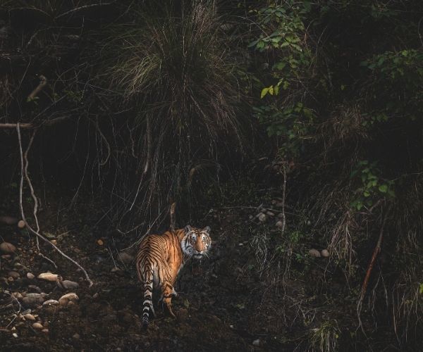 High 5 locations to go to in Uttarakhand in India