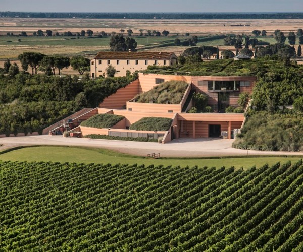 Top 13 design wineries in Tuscany: A fusion of art and taste